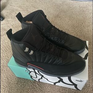 Jordan 12s black